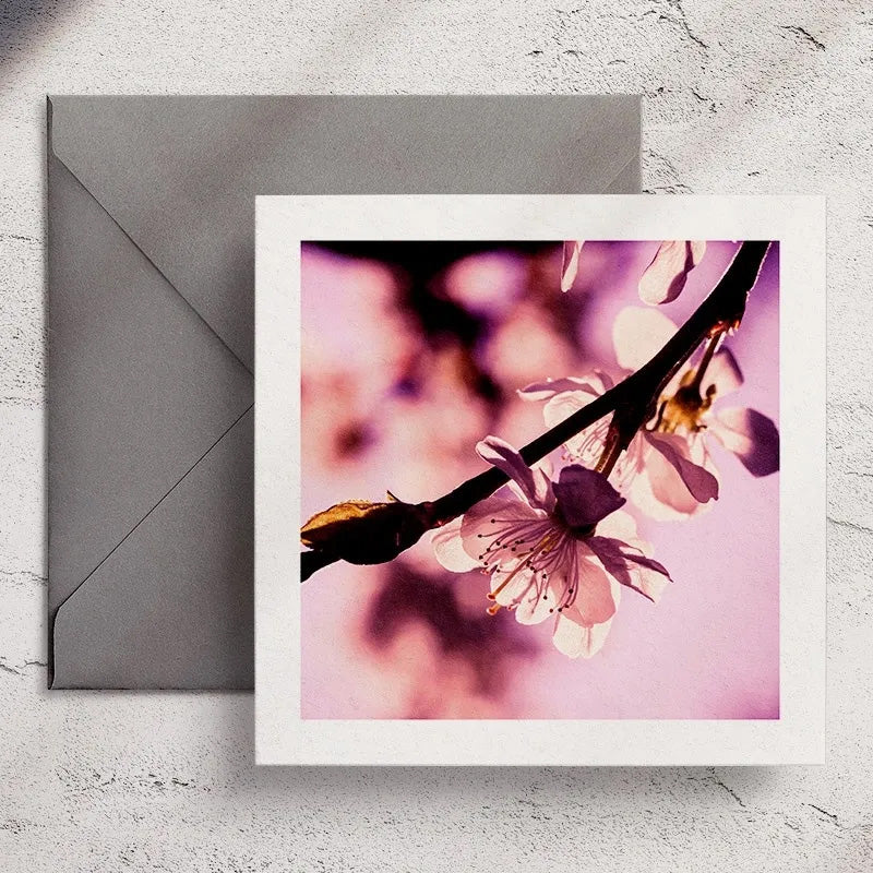 Plum Blossom - Greeting Card