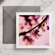 Floral Notecard Set
