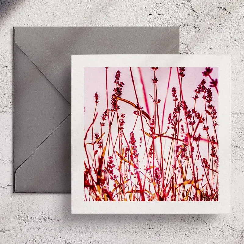 Lavender - Greeting Card