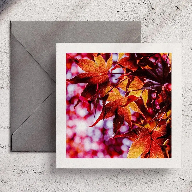 Acer - Greeting Card