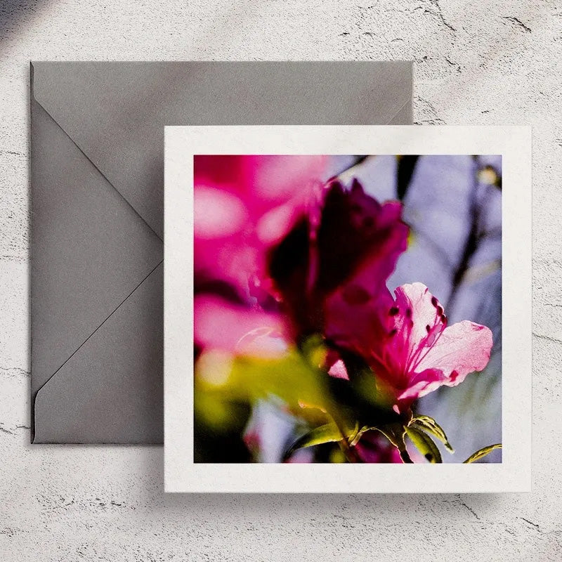 Azalea - Greeting Card