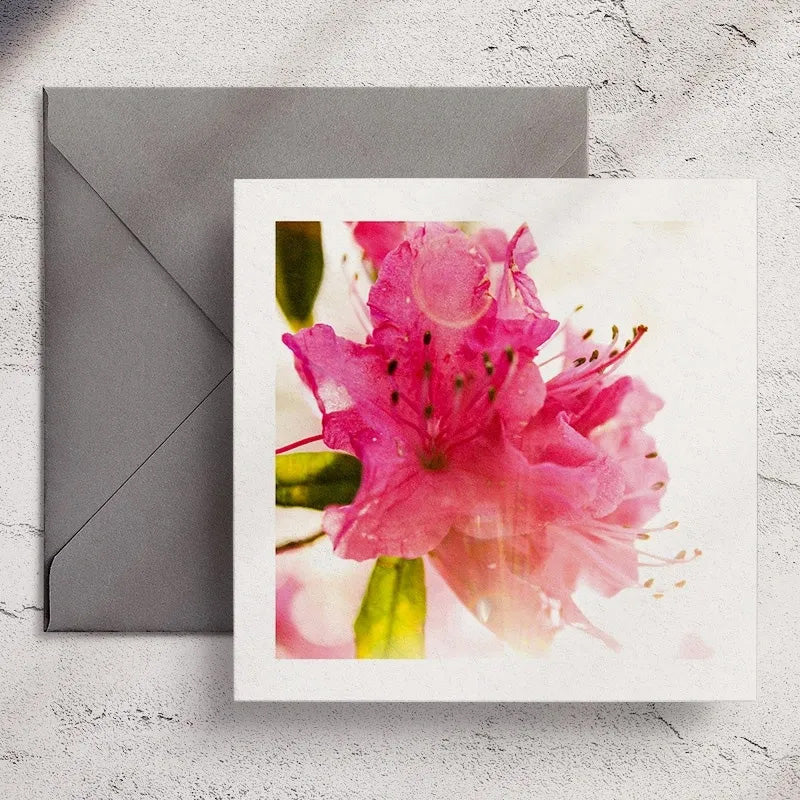 Sunny Azalea - Greeting Card