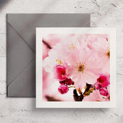 Pink Blossom - Greeting Card