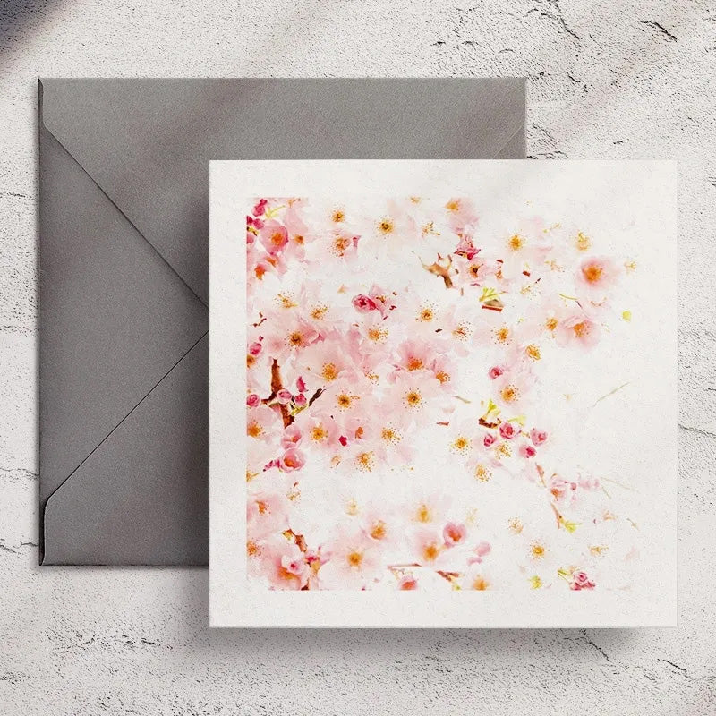 Cherry Blossom - Greeting Card