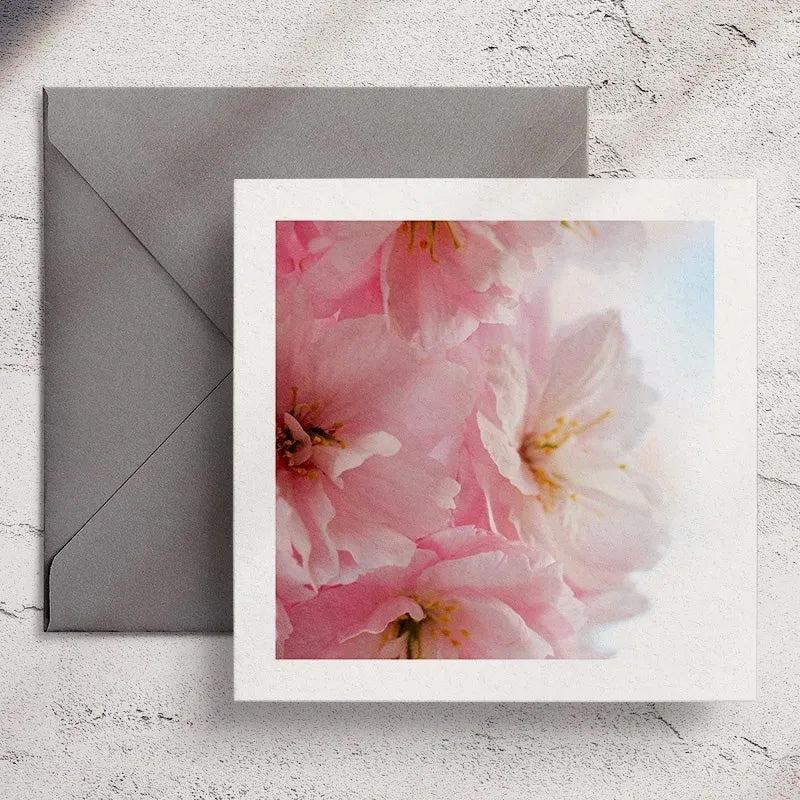 Pink Cherry - Greeting Card