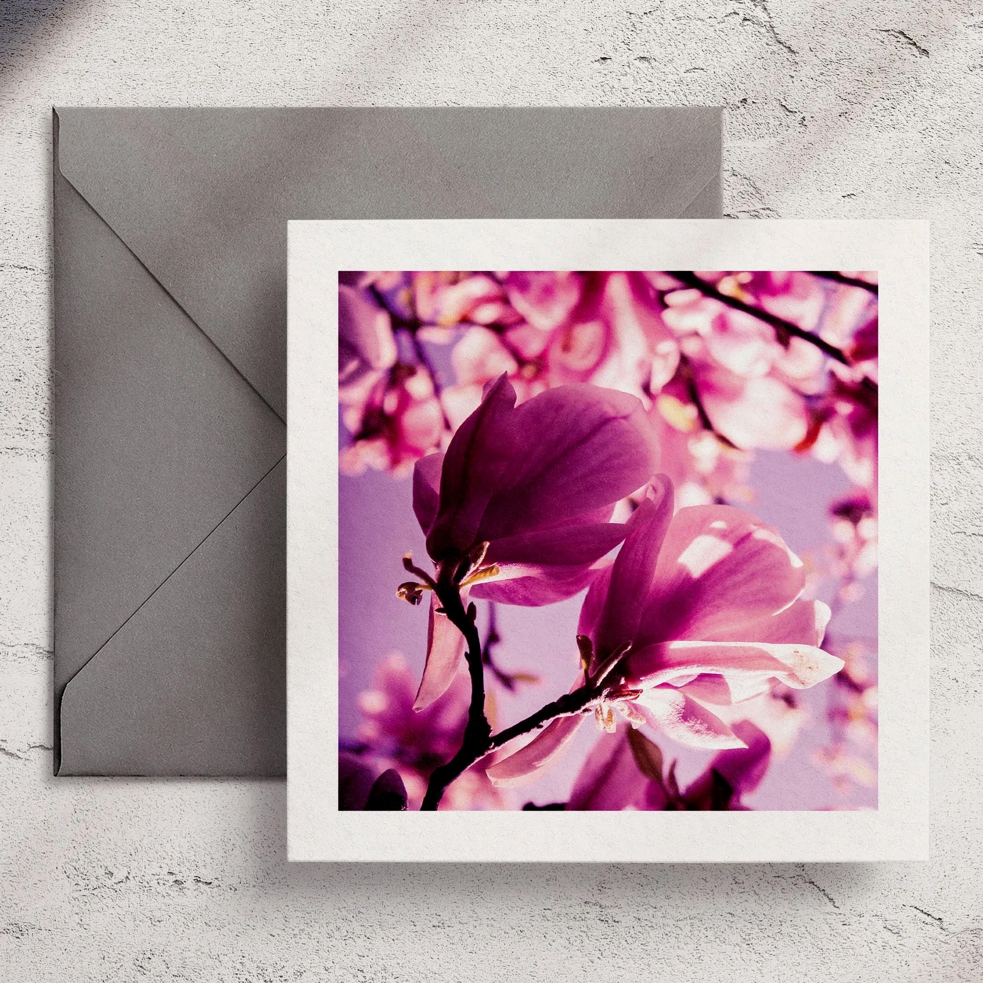Pink Magnolia - Greeting Card