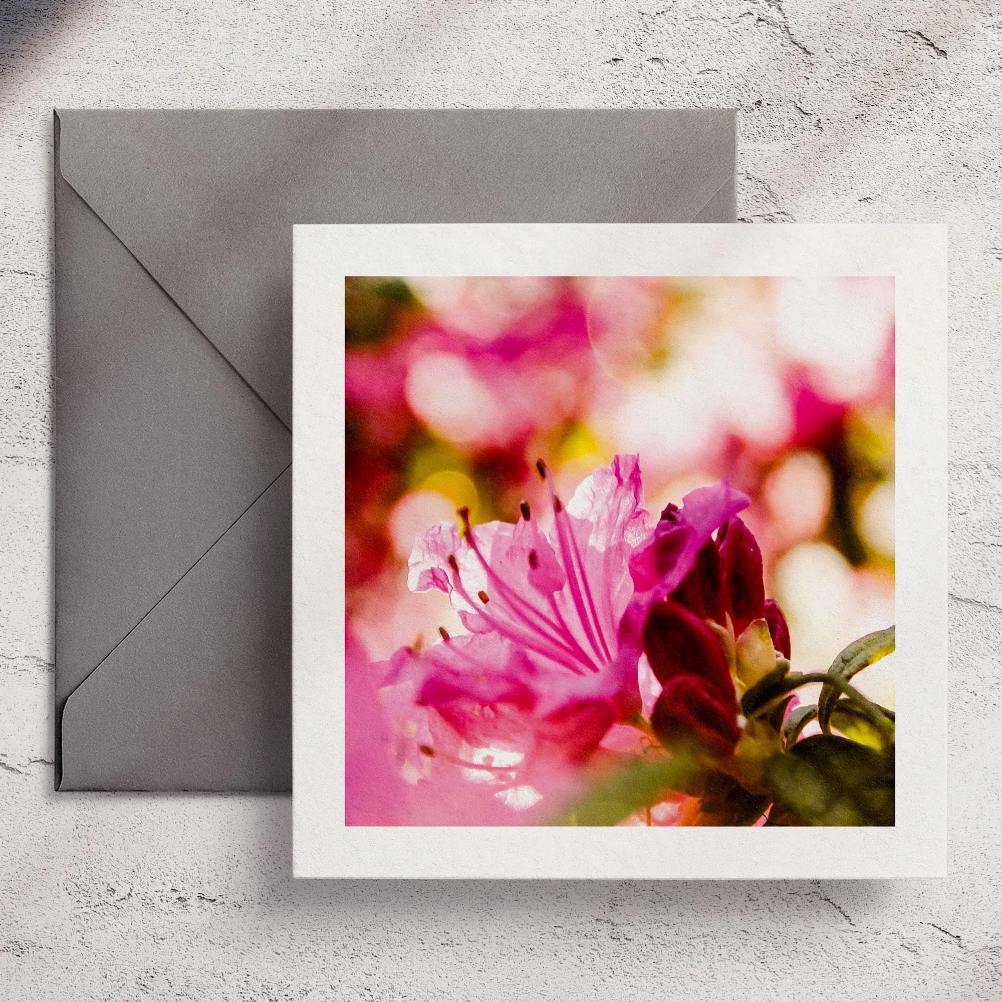 Pink Azalea - Greeting Card