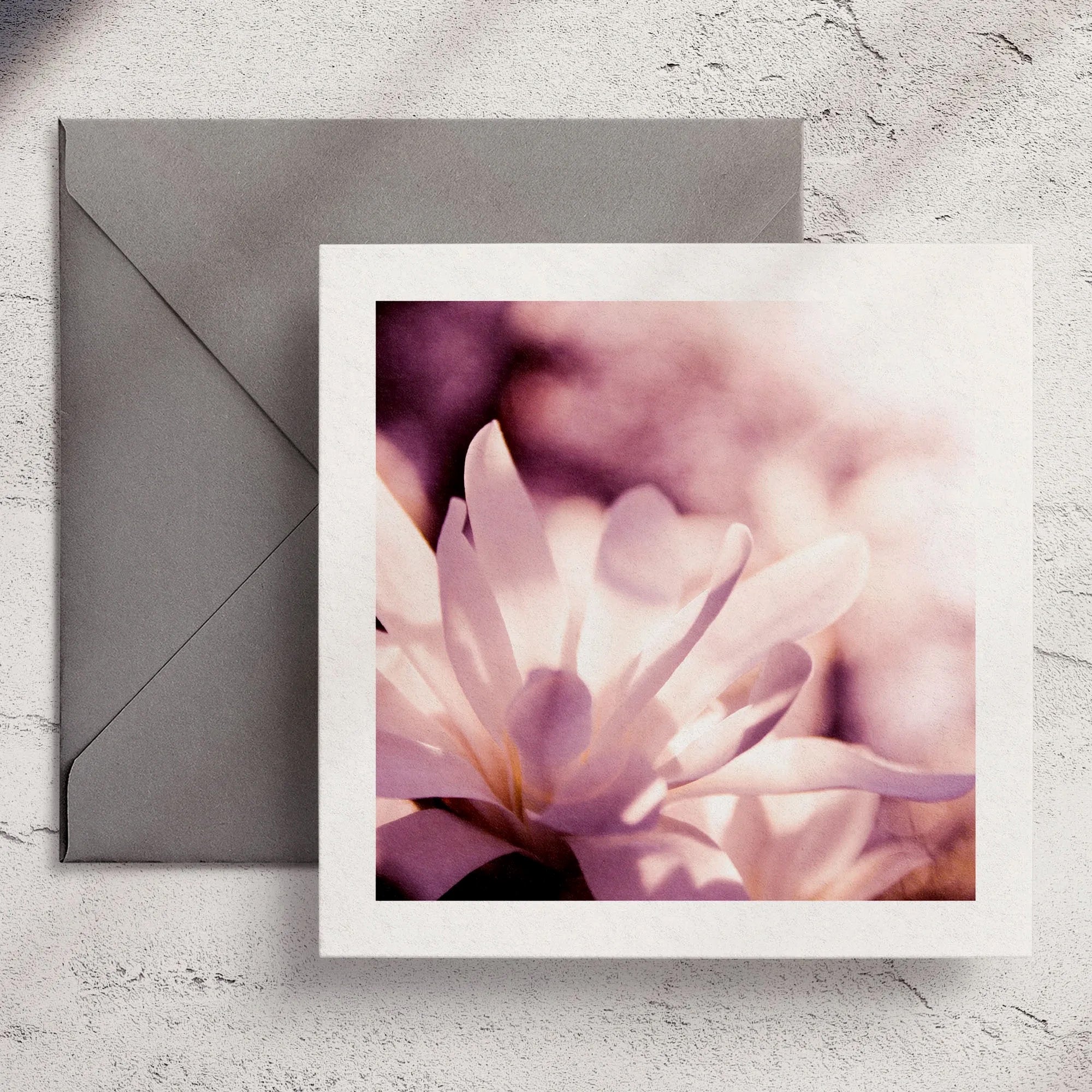 White Magnolia - Greeting Card