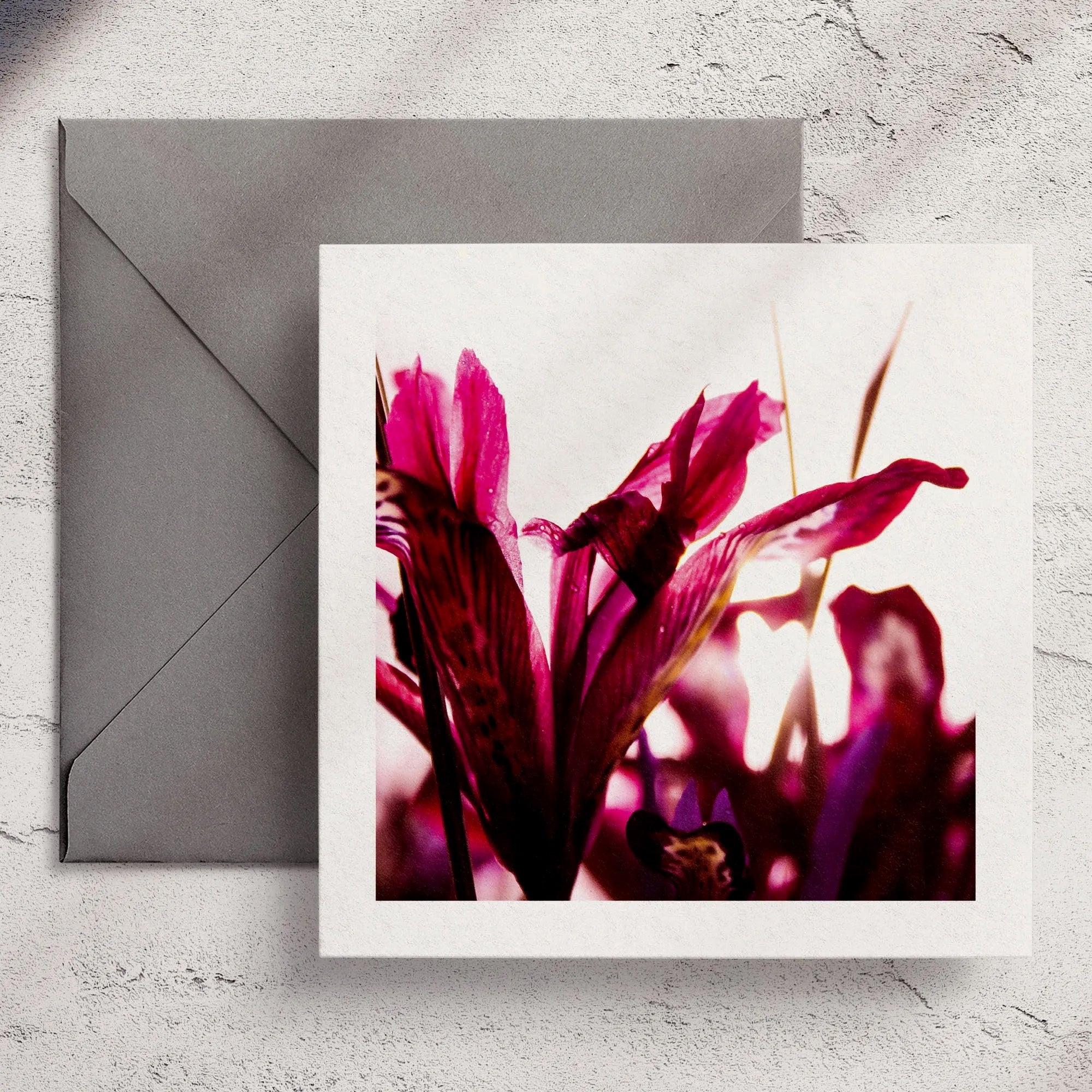 Iris - Greeting Card