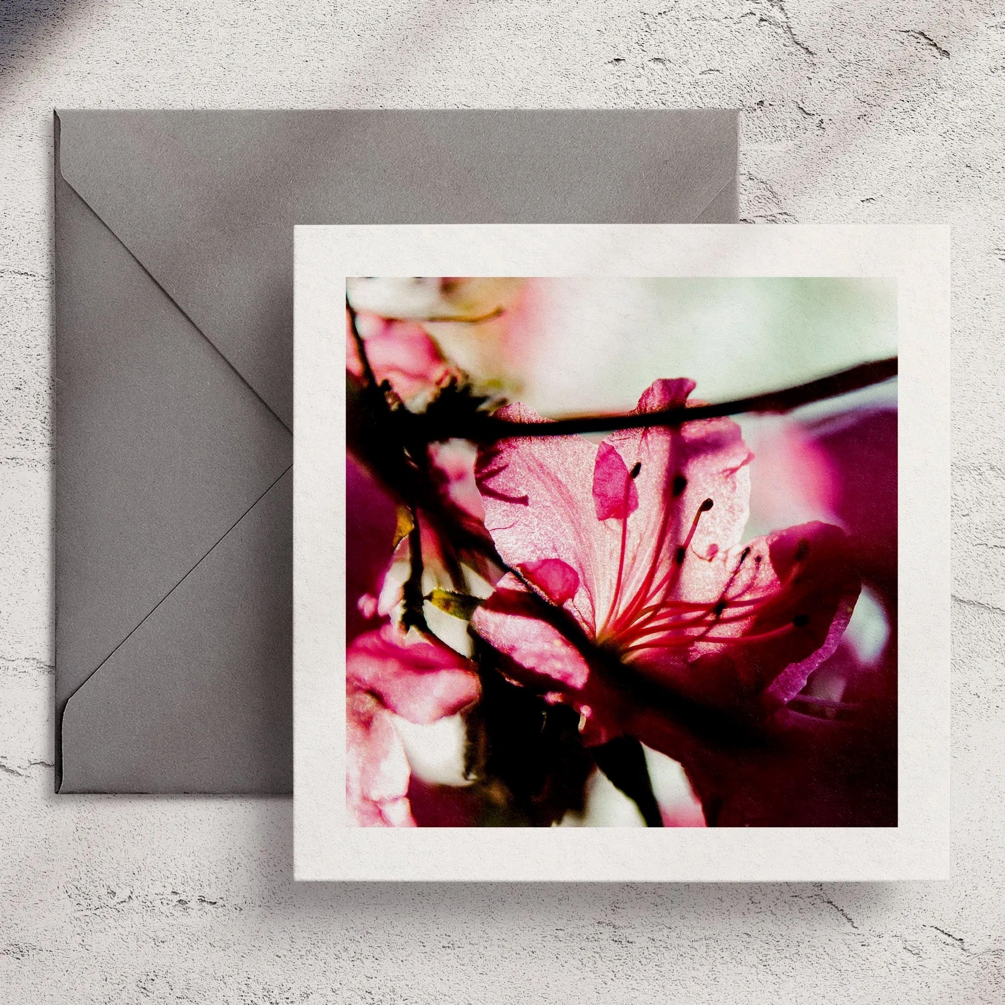 Shadow Azalea - Greeting Card