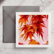Hanging Acer - Greeting Card
