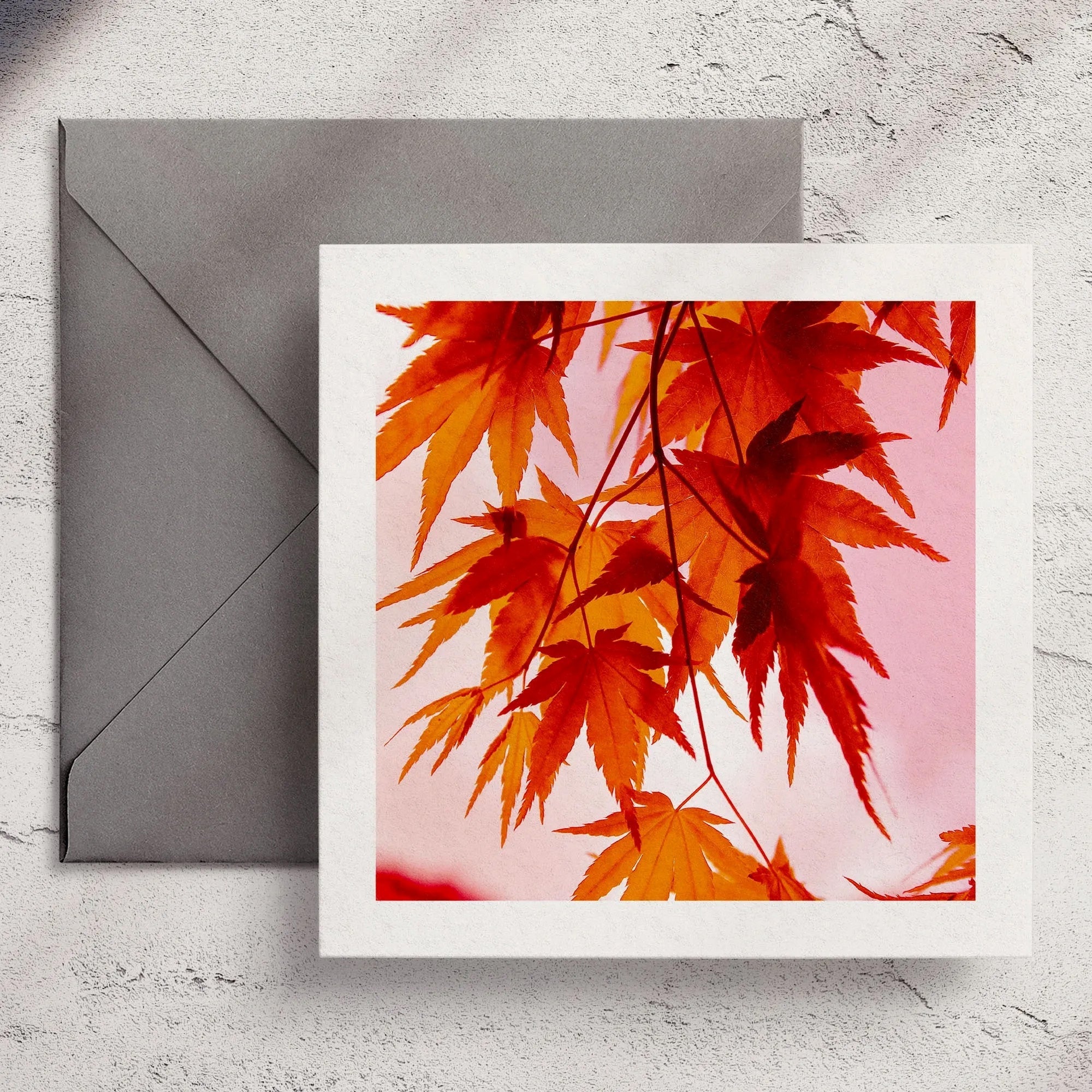 Hanging Acer - Greeting Card