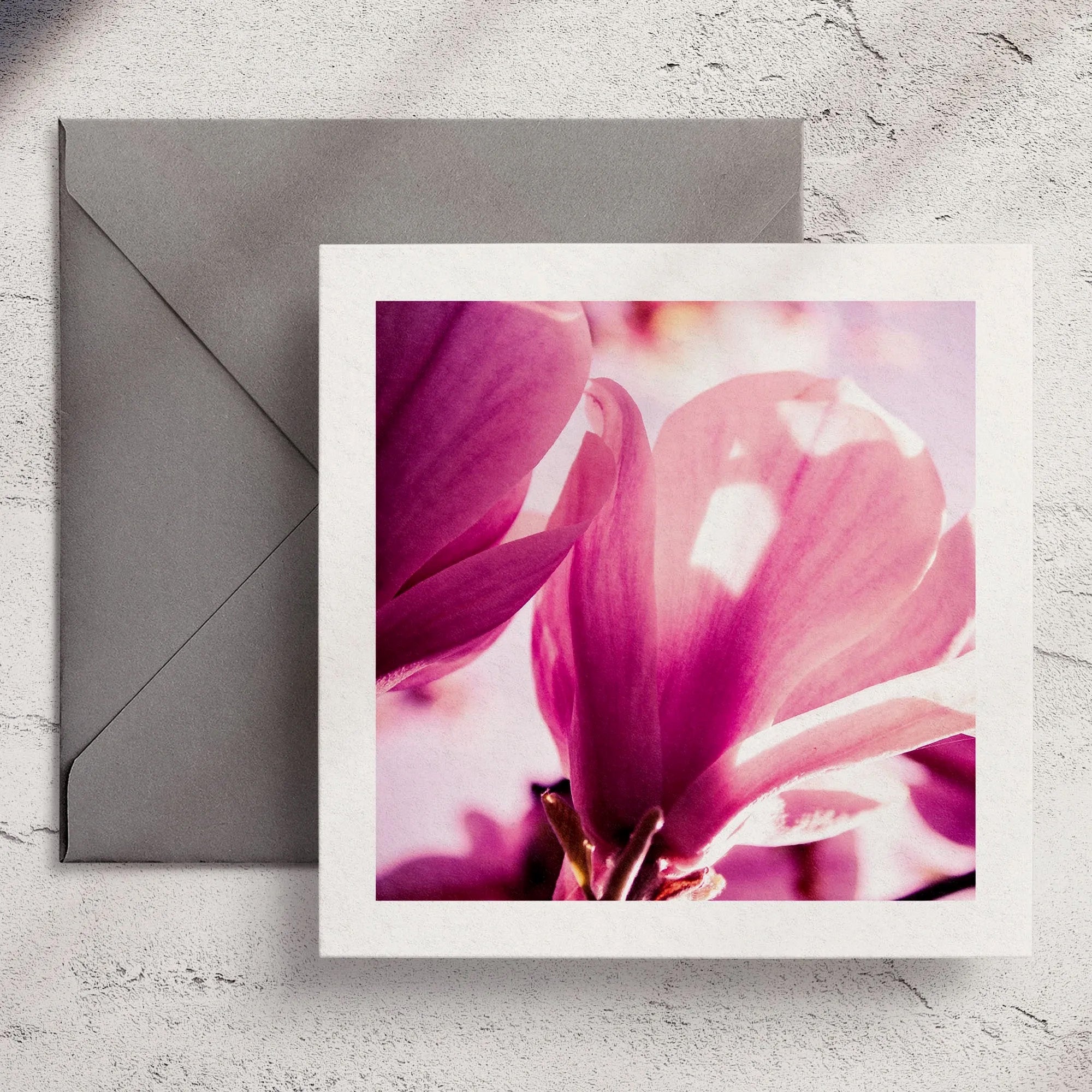 Magnolia - Greeting Card