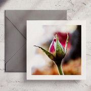 Dew Rosebud - Greeting Card