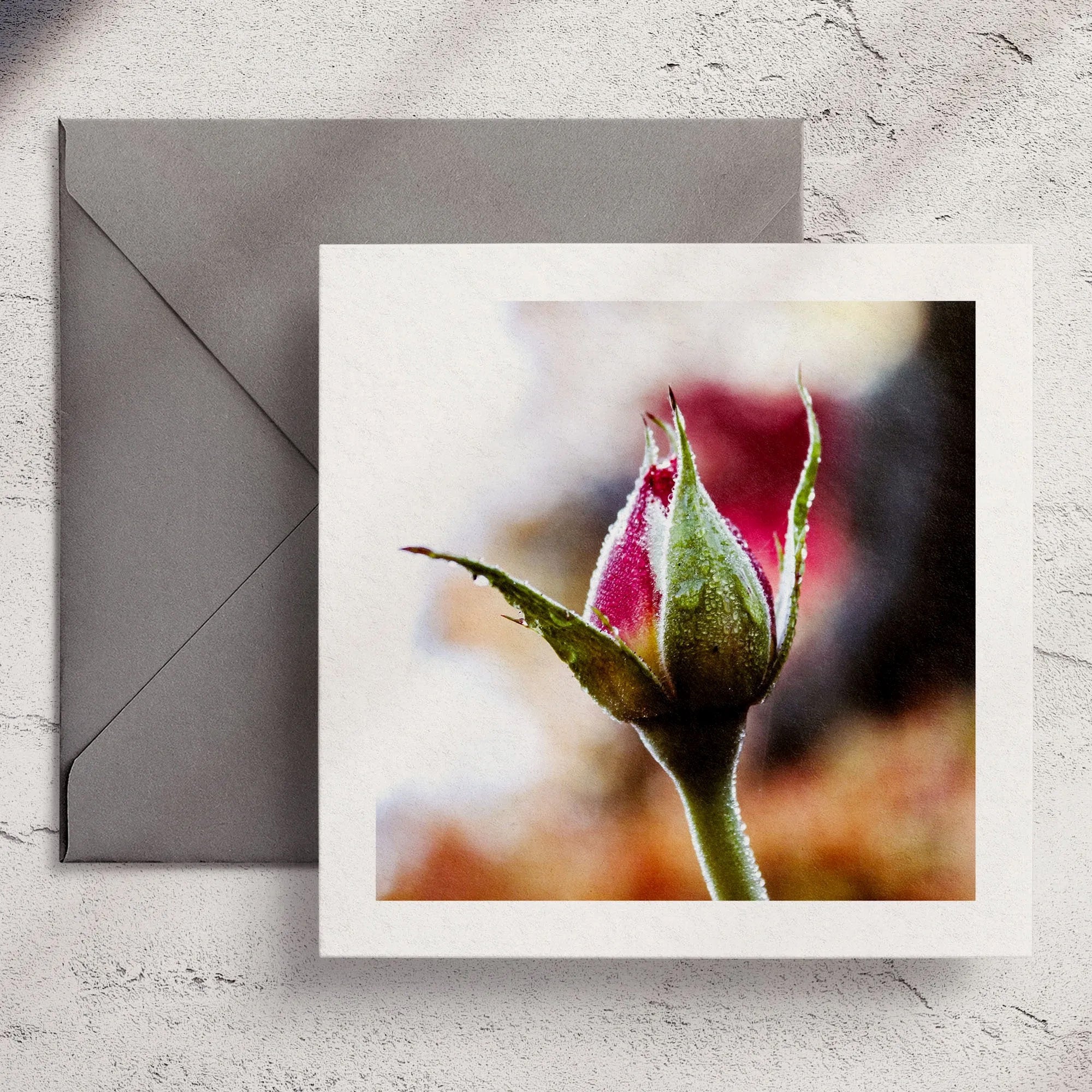 Dew Rosebud - Greeting Card