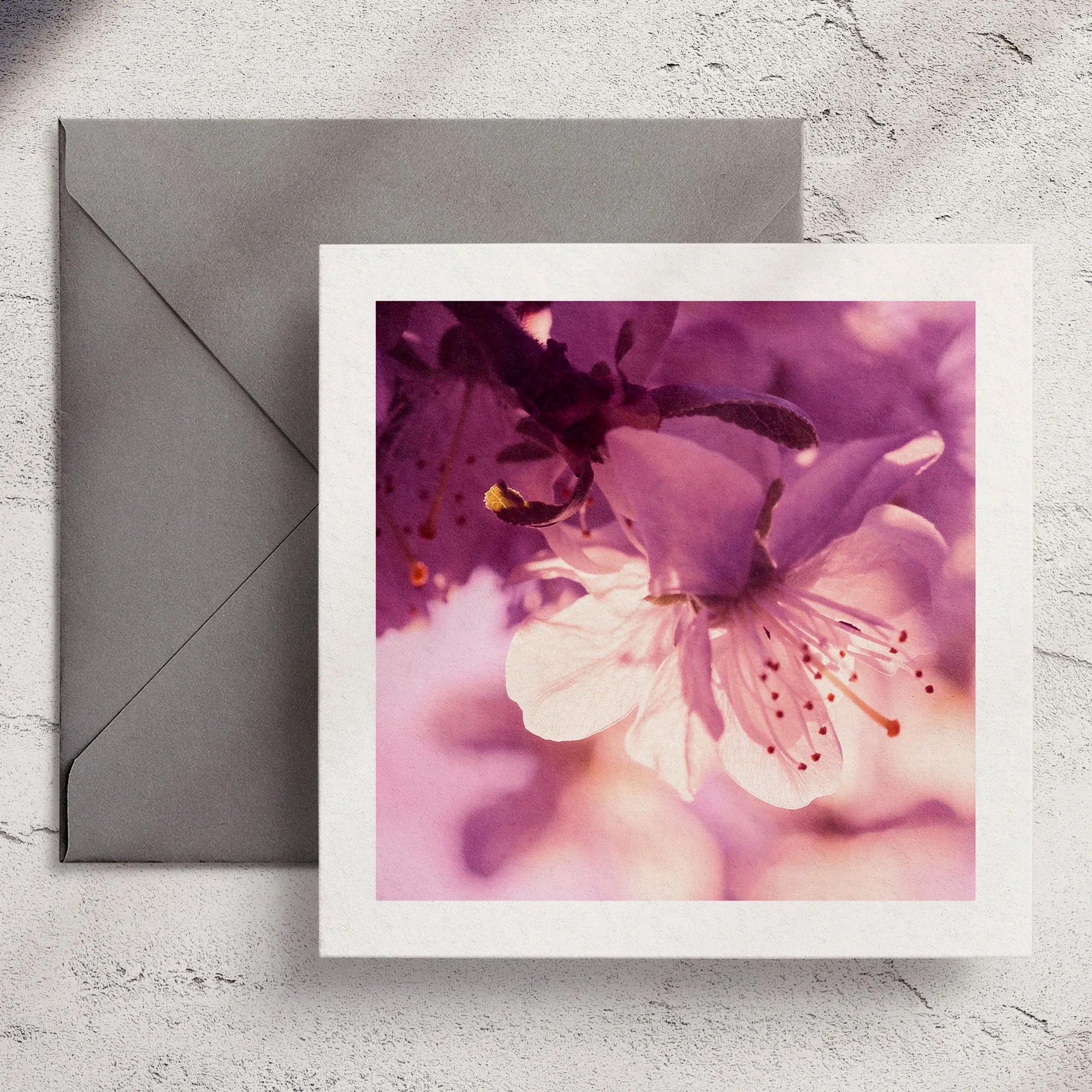 Plum - Greeting Card