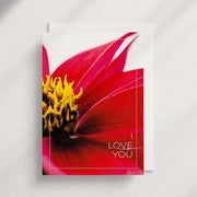 I Love You [FL18] - Floral Greeting Card