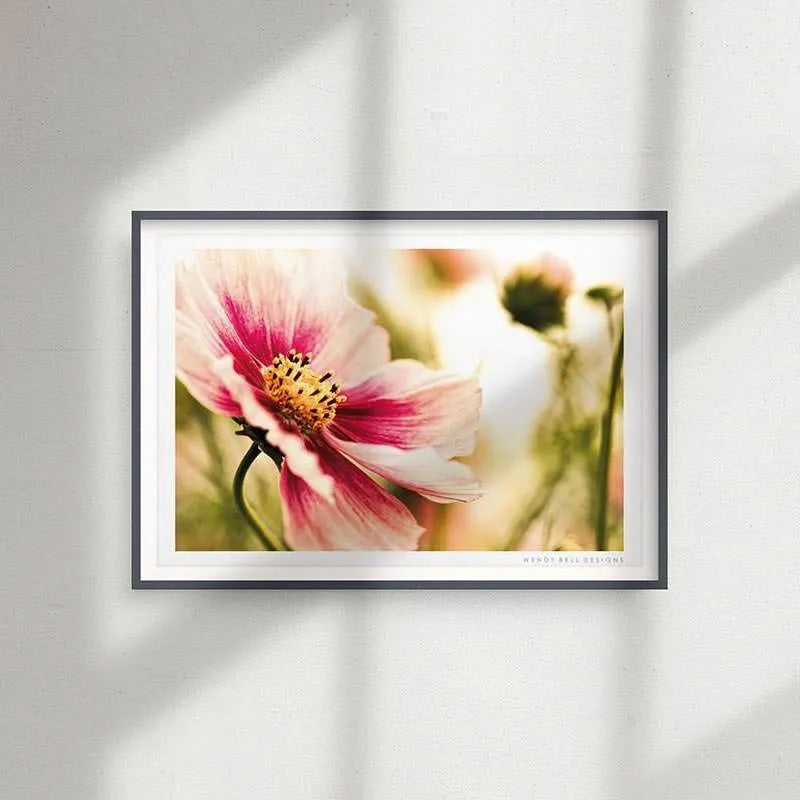 Pink Flower [PC01]- A4 Print