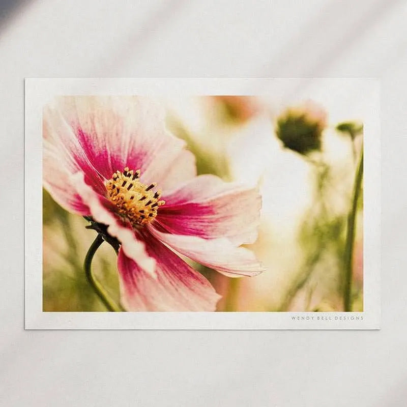 Pink Flower [PC01]- A4 Print