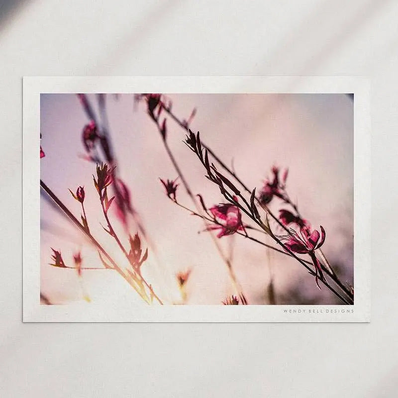 Sunset Flowers [PC02]- A4 Print