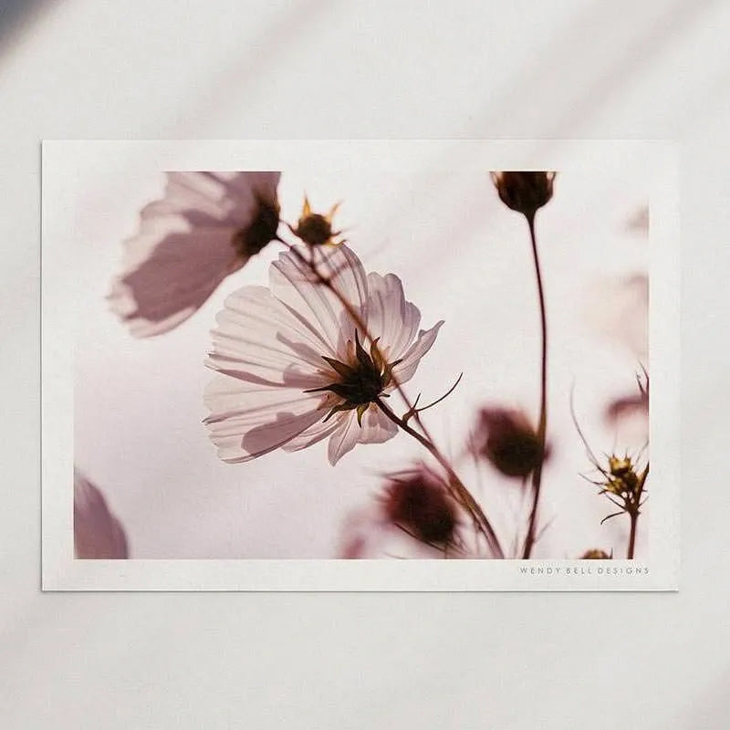 Blowing In The Breeze [PC03]- A4 Print