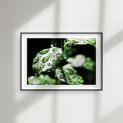 Dew Drop Leaves [PC04]- A4 Print