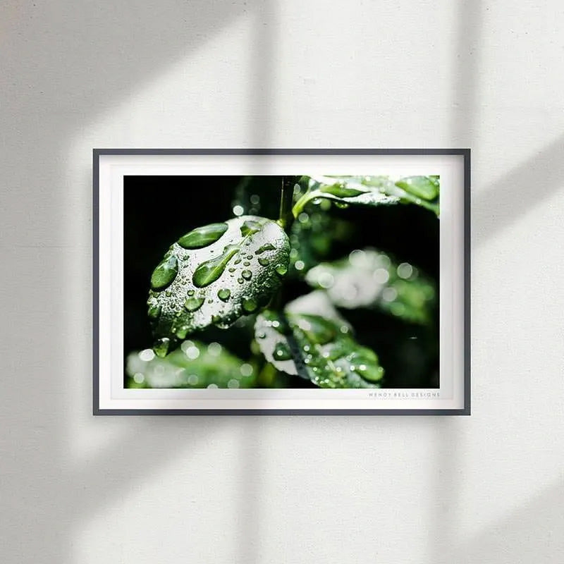 Dew Drop Leaves [PC04]- A4 Print