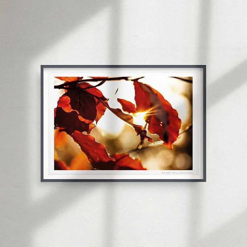 Fiery Autumn Leaves [PC06]- A4 Print