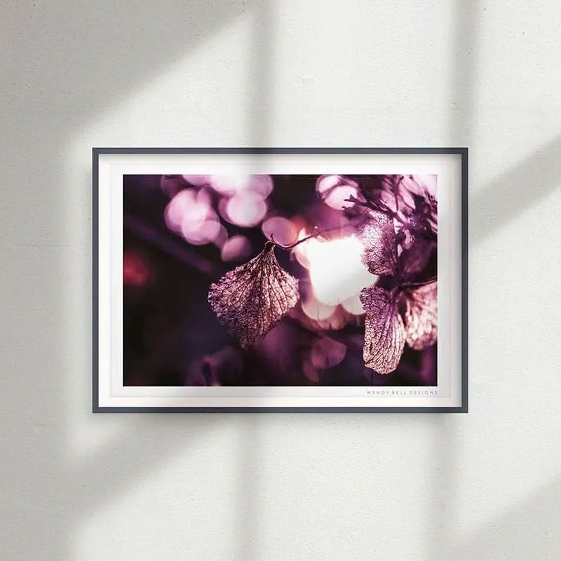 Delicate Hydrangea Petal [PC07]- A4 Print