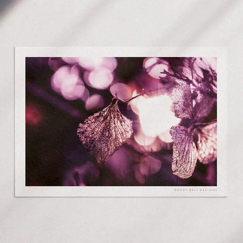 Delicate Hydrangea Petal [PC07]- A4 Print