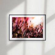 Lavender Silhouette [PC10]- A4 Print