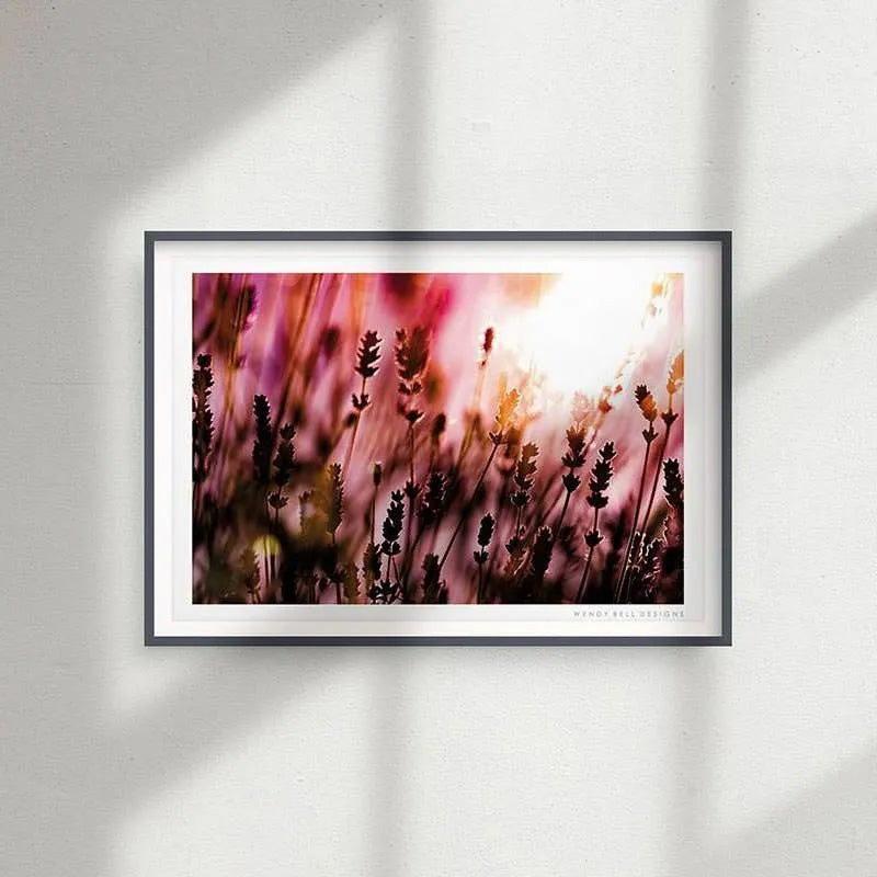 Lavender Silhouette [PC10]- A4 Print