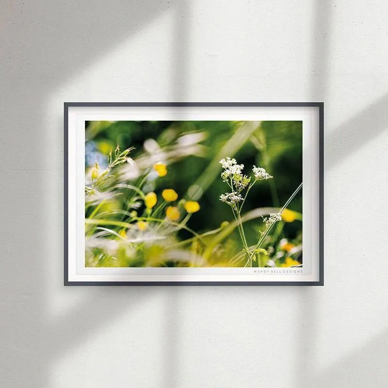 Cow Parsley & Buttercups [PC11]- A4 Print