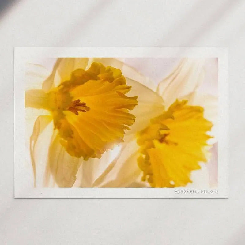 Sunny Daffodils [PC12]- A4 Print