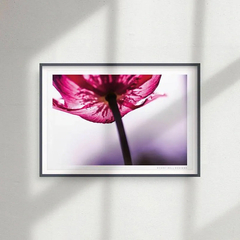 Red Poppy [PC13]- A4 Print