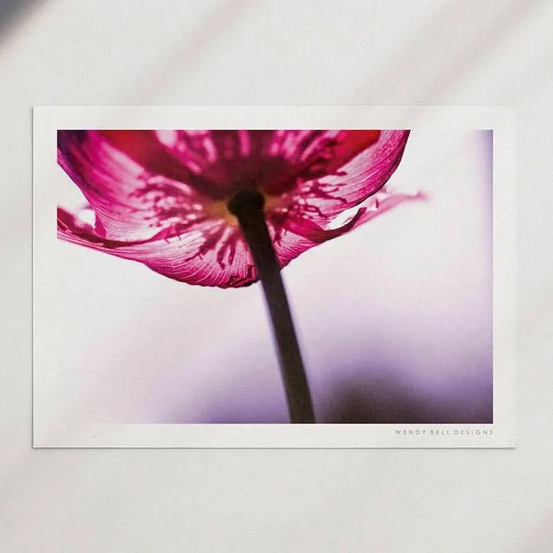 Red Poppy [PC13]- A4 Print