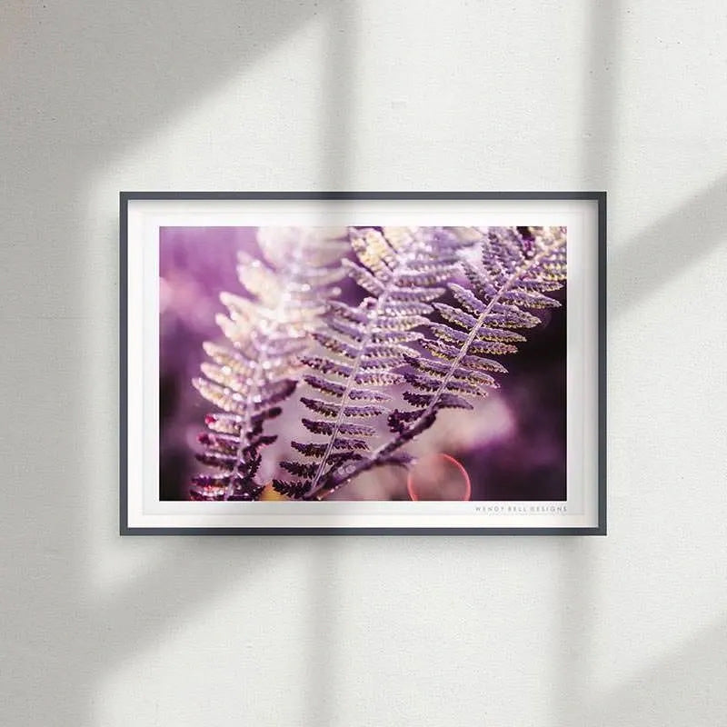 Glistening Ferns [PC14]- A4 Print