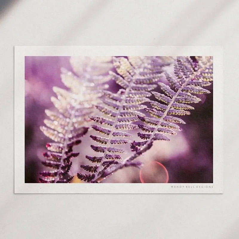 Glistening Ferns [PC14]- A4 Print