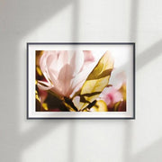 Sunkissed Magnolia [PC15]- A4 Print